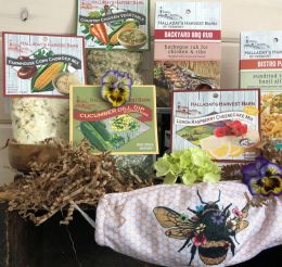 Be Well Box