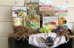 Be Well Box