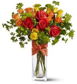 Rambling Rose