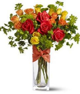 Rambling Rose