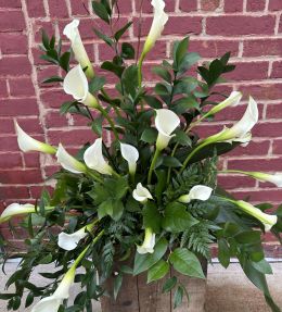 White Calla Design