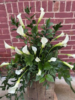 White Calla Design