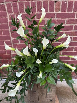 White Calla Design