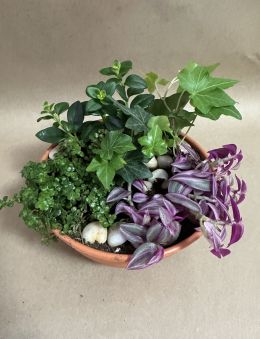 Petite Dish Garden