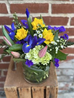 Spring Beauty