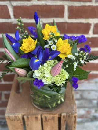 Spring Beauty