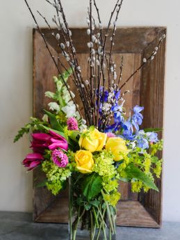 Bring Spring