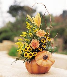 Pumpkin Delight