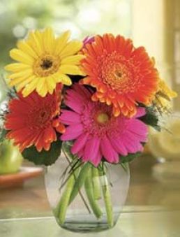Gerbera Bouquet