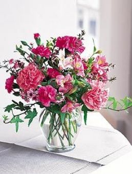 Cheerful Carnations