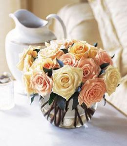 Perfect Pastel Rose