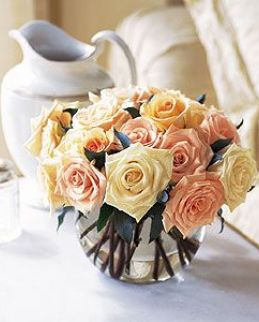 Perfect Pastel Rose