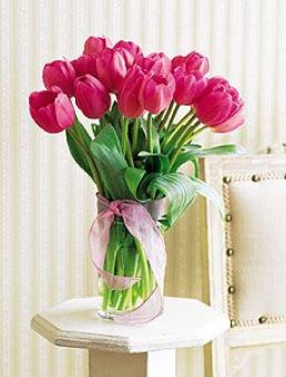 Pink Tulips