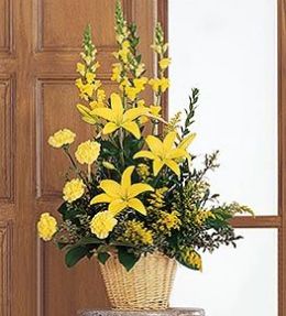 Ray of Hope Arrangement