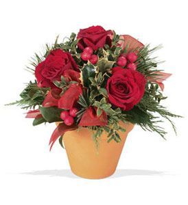 Rosy Bunch
