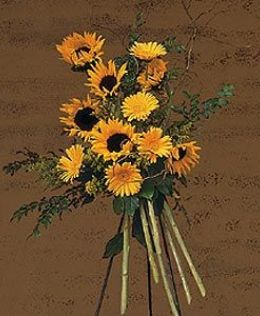 Shining Sentiments Spray