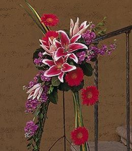 Stargazer Lily and Gerbera Spray