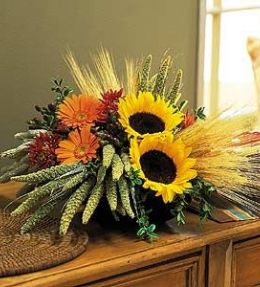 Sunflower Harvest