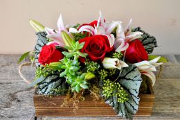 Stargazer Box
