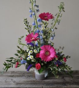 Gerbera Daisy Tribute