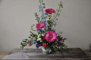 Gerbera Daisy Tribute