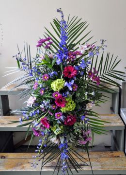 Colorful Tribute