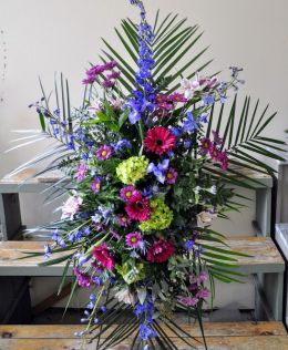 Colorful Tribute