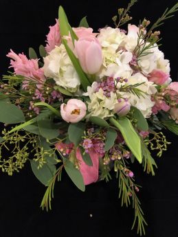 Spring Pinks