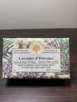 Lavender