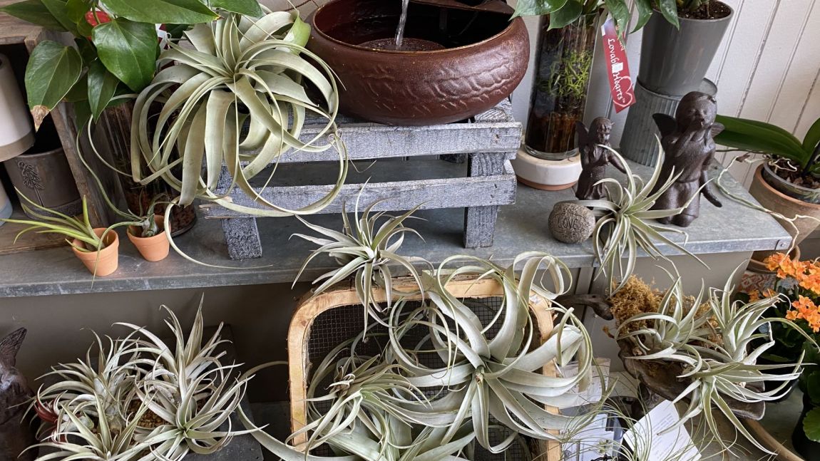 Tour The Store