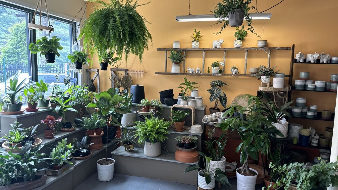 Tour The Store